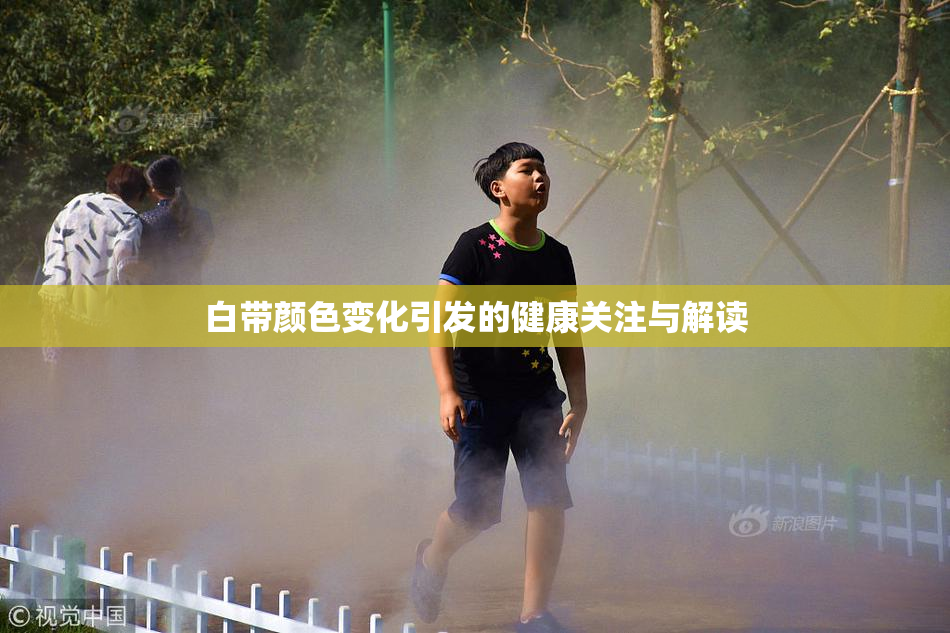 白带颜色变化引发的健康关注与解读