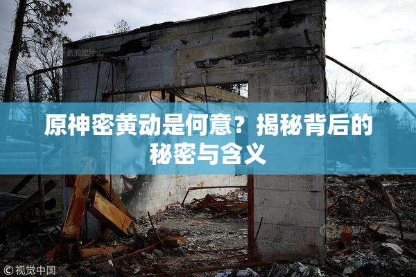 原神密黄动是何意？揭秘背后的秘密与含义