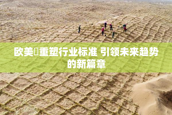 欧美巜重塑行业标准 引领未来趋势的新篇章