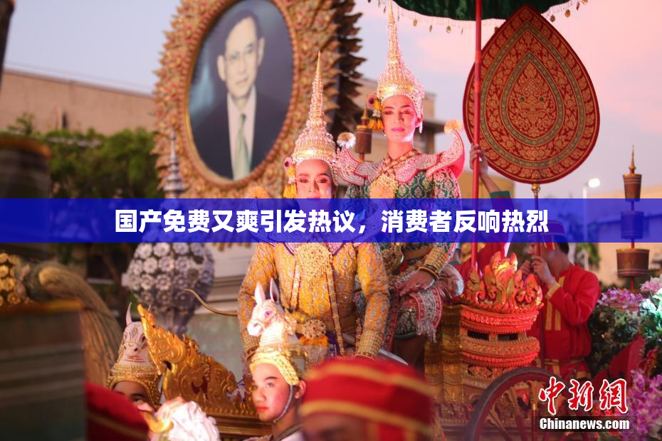 国产免费又爽引发热议，消费者反响热烈