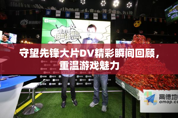 守望先锋大片DV精彩瞬间回顾，重温游戏魅力