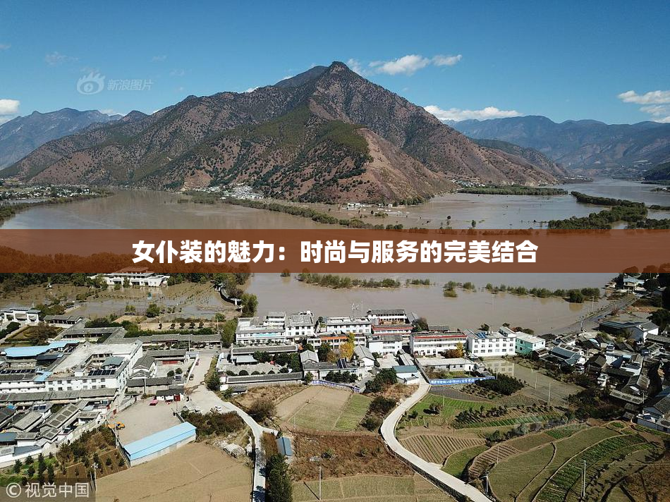女仆装的魅力：时尚与服务的完美结合
