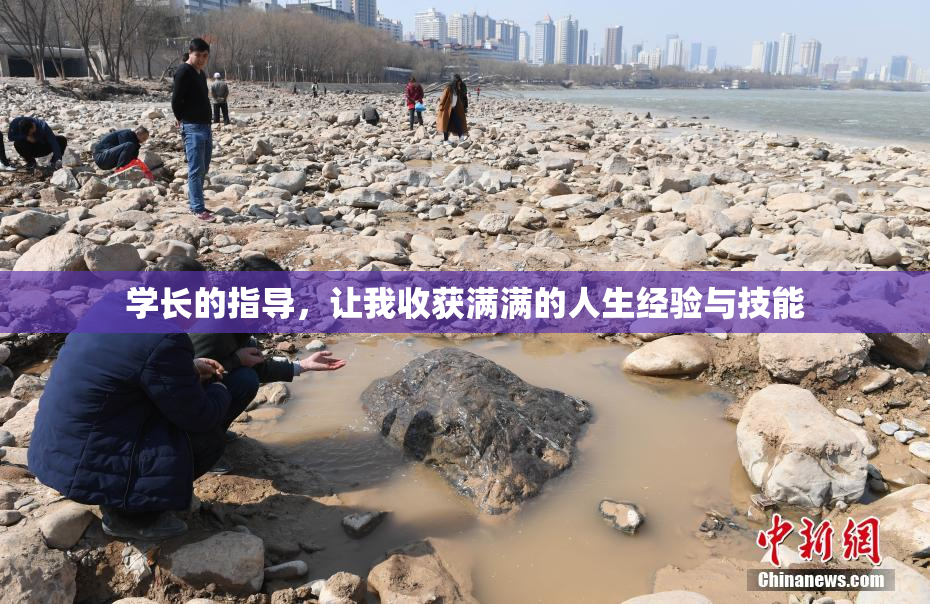 学长的指导，让我收获满满的人生经验与技能