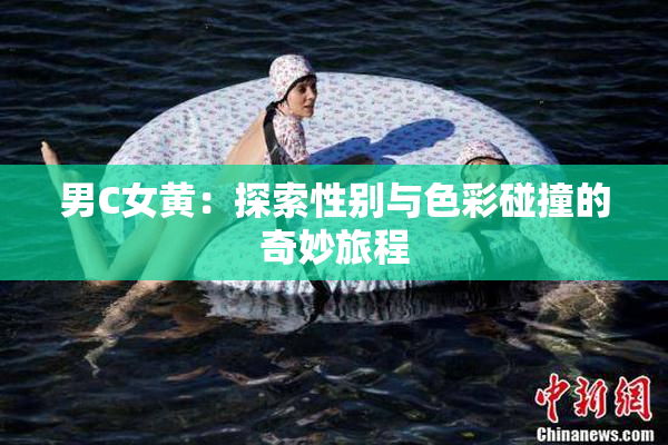男C女黄：探索性别与色彩碰撞的奇妙旅程