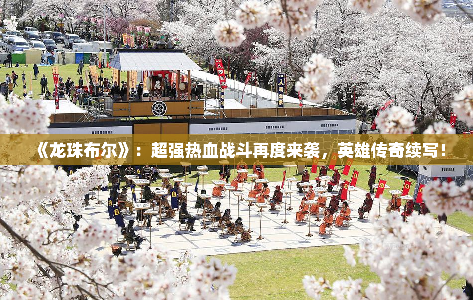 《龙珠布尔》：超强热血战斗再度来袭，英雄传奇续写！