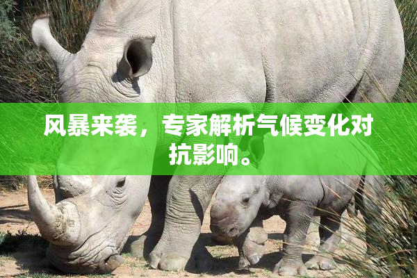 风暴来袭，专家解析气候变化对抗影响。