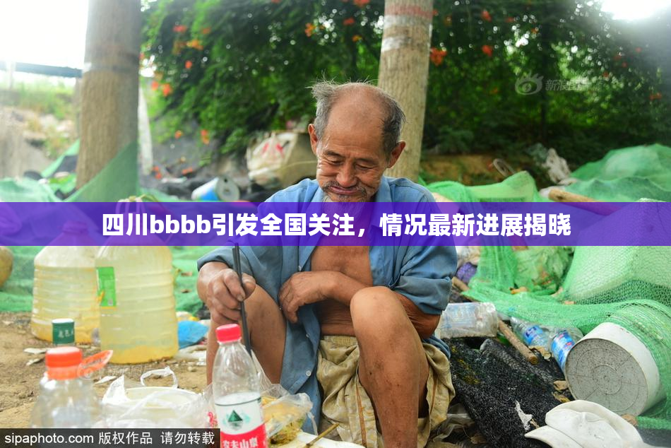 四川bbbb引发全国关注，情况最新进展揭晓