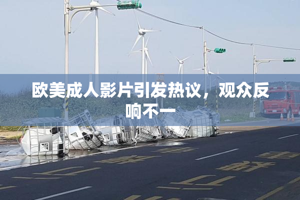 欧美成人影片引发热议，观众反响不一