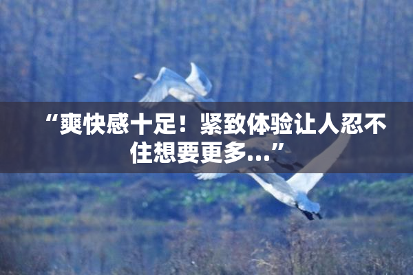“爽快感十足！紧致体验让人忍不住想要更多…”
