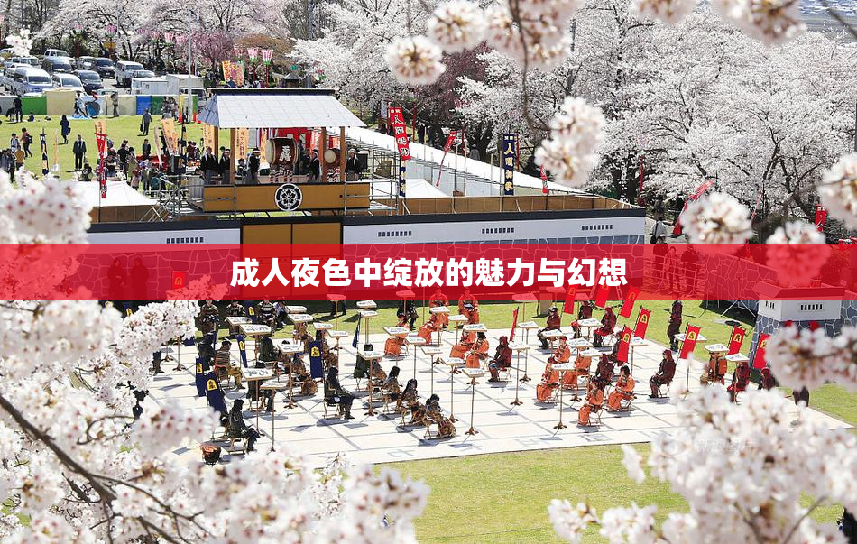 成人夜色中绽放的魅力与幻想