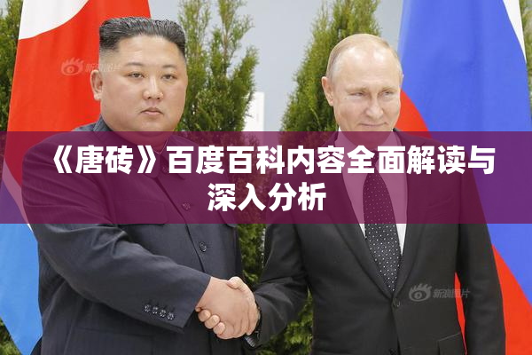 《唐砖》百度百科内容全面解读与深入分析