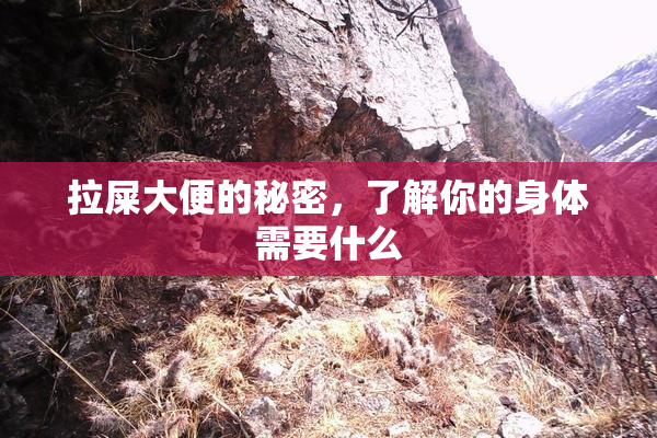 拉屎大便的秘密，了解你的身体需要什么