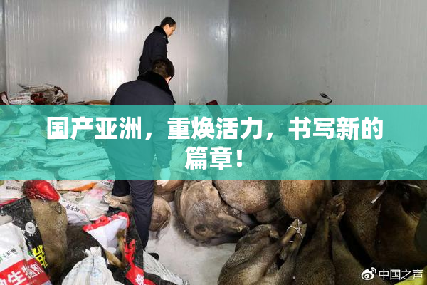 国产亚洲，重焕活力，书写新的篇章！