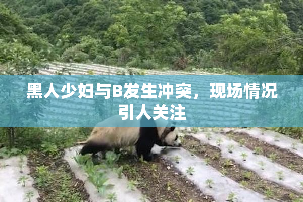 黑人少妇与B发生冲突，现场情况引人关注