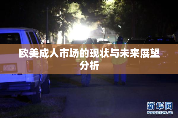 欧美成人市场的现状与未来展望分析