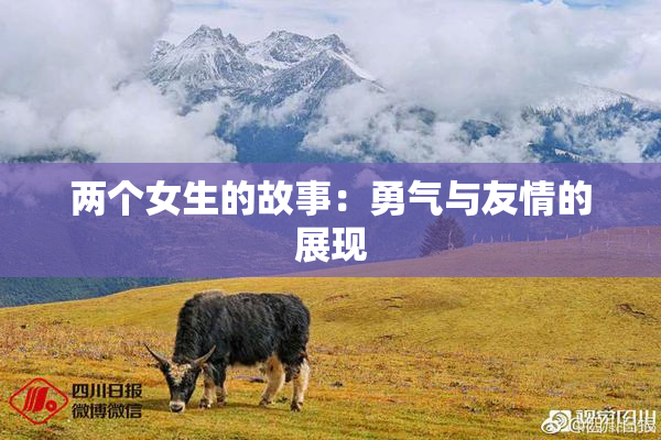 两个女生的故事：勇气与友情的展现