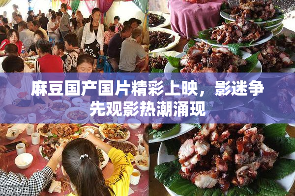 麻豆国产国片精彩上映，影迷争先观影热潮涌现