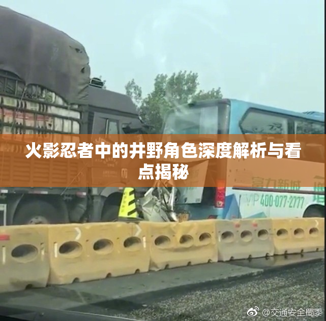 火影忍者中的井野角色深度解析与看点揭秘