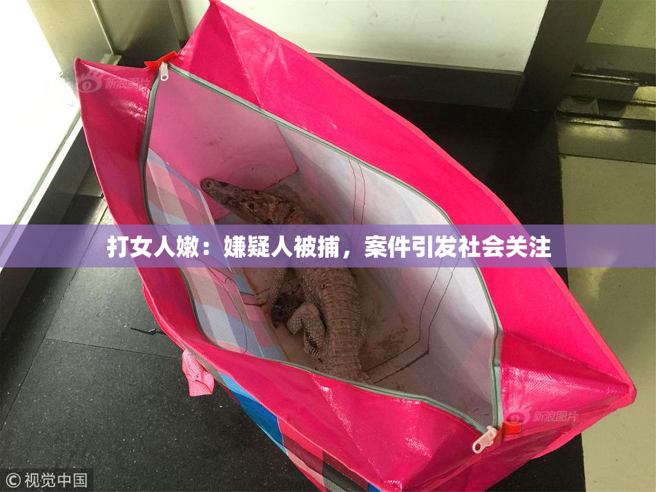 打女人嫩：嫌疑人被捕，案件引发社会关注
