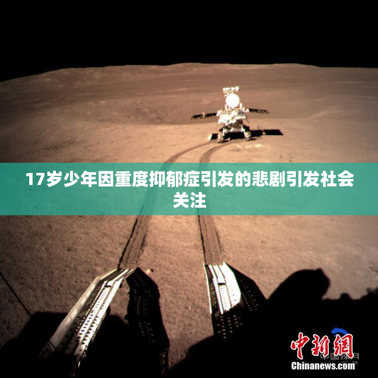 17岁少年因重度抑郁症引发的悲剧引发社会关注