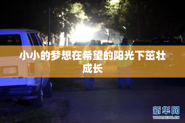 小小的梦想在希望的阳光下茁壮成长
