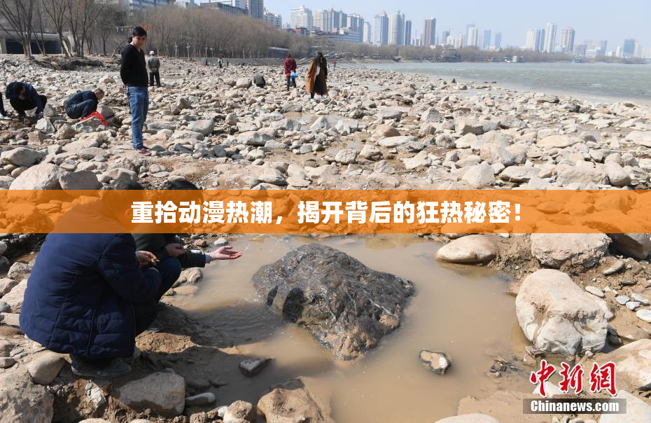 重拾动漫热潮，揭开背后的狂热秘密！
