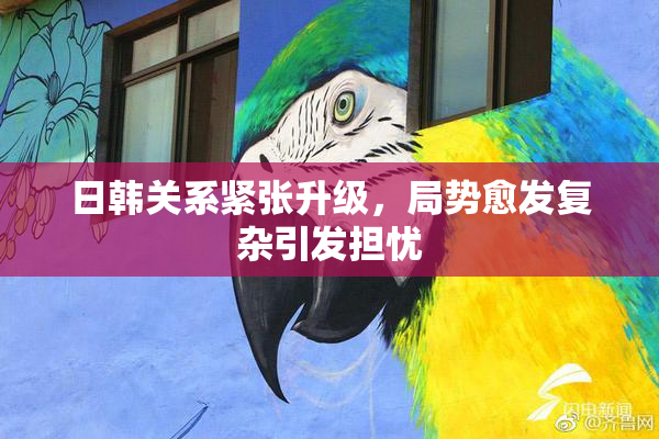 日韩关系紧张升级，局势愈发复杂引发担忧