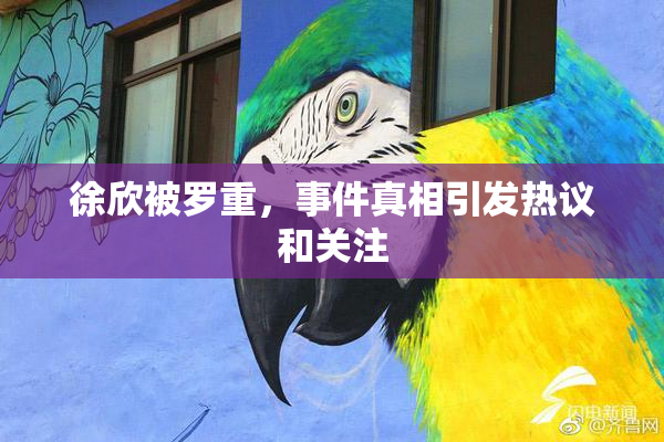 徐欣被罗重，事件真相引发热议和关注