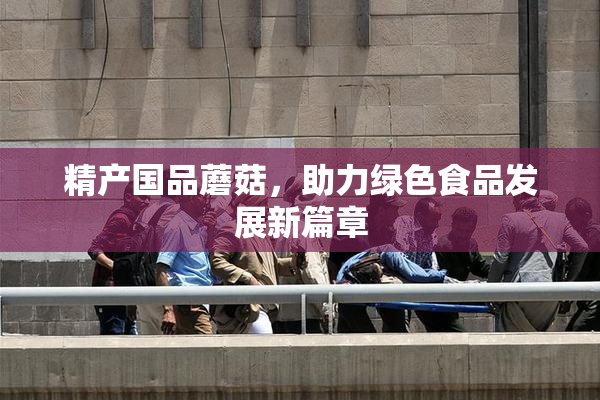 精产国品蘑菇，助力绿色食品发展新篇章