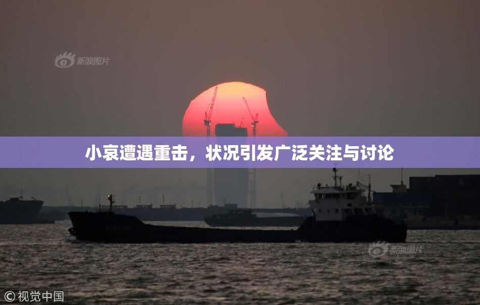 小哀遭遇重击，状况引发广泛关注与讨论