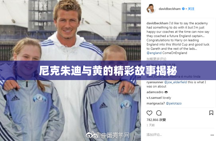 尼克朱迪与黄的精彩故事揭秘