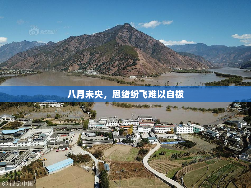 八月未央，思绪纷飞难以自拔