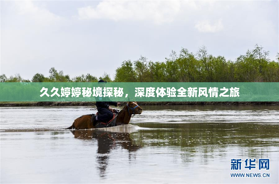 久久婷婷秘境探秘，深度体验全新风情之旅