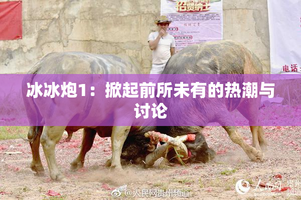 冰冰炮1：掀起前所未有的热潮与讨论