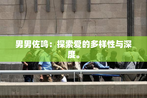 男男佐鸣：探索爱的多样性与深度。