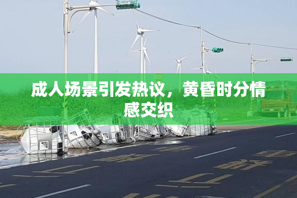 成人场景引发热议，黄昏时分情感交织