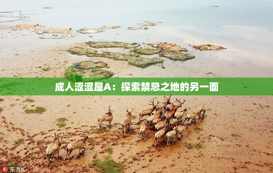 成人涩涩屋A：探索禁忌之地的另一面