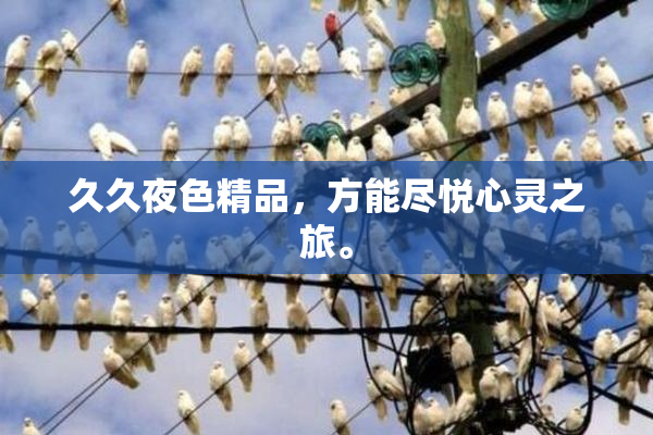 久久夜色精品，方能尽悦心灵之旅。