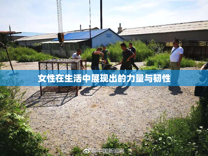 女性在生活中展现出的力量与韧性