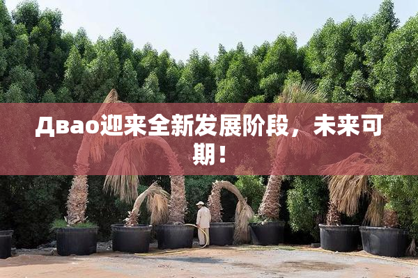 Двао迎来全新发展阶段，未来可期！