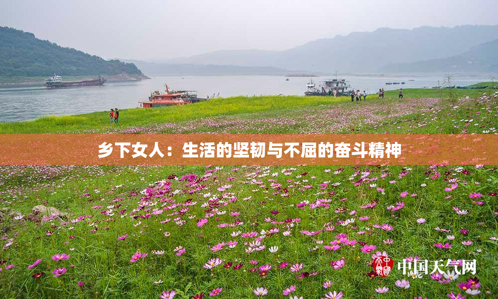 乡下女人：生活的坚韧与不屈的奋斗精神