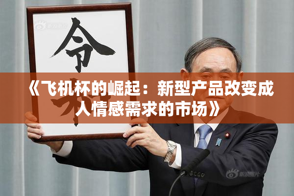 《飞机杯的崛起：新型产品改变成人情感需求的市场》