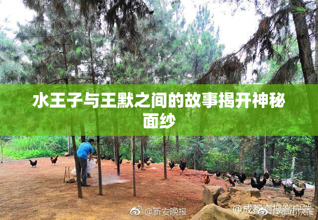 水王子与王默之间的故事揭开神秘面纱