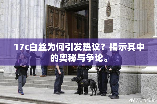 17c白丝为何引发热议？揭示其中的奥秘与争论。