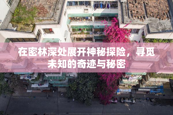 在密林深处展开神秘探险，寻觅未知的奇迹与秘密
