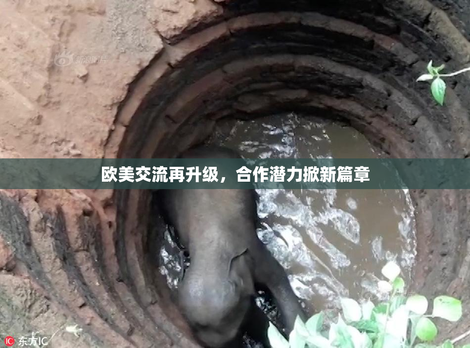 欧美交流再升级，合作潜力掀新篇章