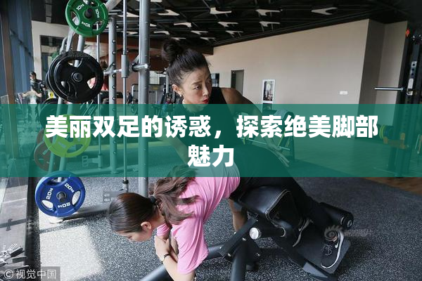 美丽双足的诱惑，探索绝美脚部魅力