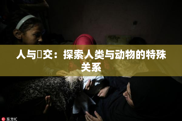 人与嘼交：探索人类与动物的特殊关系