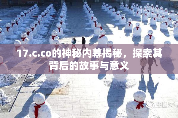 17.c.co的神秘内幕揭秘，探索其背后的故事与意义