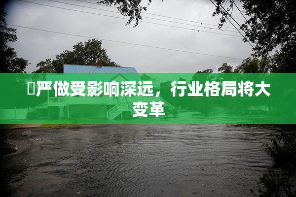 囯严做受影响深远，行业格局将大变革